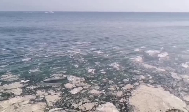 Mudanya Kıyılarında Müsilaj Görüldü