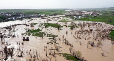 Murat Nehri Taştı,Tarım Arazilerini Su Bastı