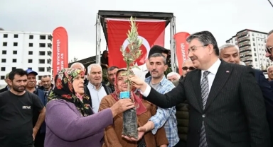 Üreticilere 11 Bin 500 Zeytin Fidanı Dağıtıldı