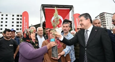 Üreticilere 11 Bin 500 Zeytin Fidanı Dağıtıldı