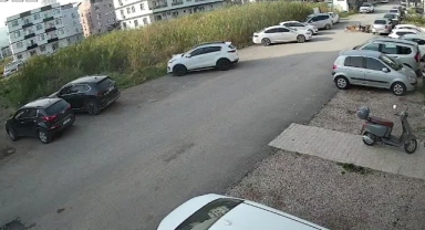 Sahipsiz Köpekler Kadına Saldırdı