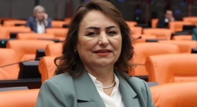 Şevkin,Sulama ve Yol Sorununu Meclise Taşıdı:''Çiftçinin Suyu, Üreticinin Yolu Yok!''