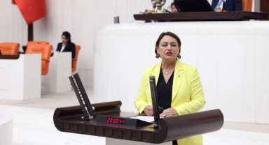 Şevkin:''Türkiye,İstihdamda Umutsuzlar Ülkesi Oldu!''