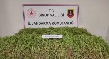Sinop’ta Uyuşturucu Operasyonu:2 Gözaltı