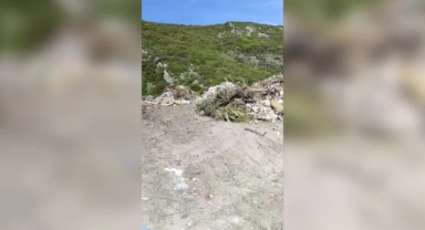 Urla Belediyesi'ne "Çevre Kirliliği" Cezası