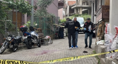 Ağabeyini Tüfekle Vurdu!