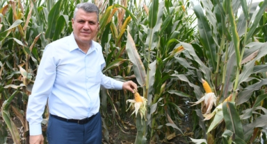 Barut:"Gümrük Vergisini Sıfırlayarak Üretime ve Üreticiye Darbe Vuruyorlar"