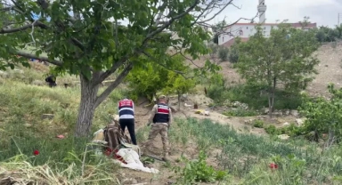 Dengesini Kaybedip Düştüğü Gölette Boğuldu