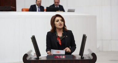 Kış’tan Torba Yasaya Sert Tepki:''Parlamento Saray’ın İcazet Makamı Değildir!''