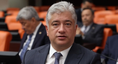 Kısacık, Buğday Alım Fiyatını ve Çiftçilerin Sulama Sorununu Meclise Taşıdı