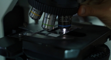 Polen Taneleri Faili Meçhul Suçları Aydınlatacak