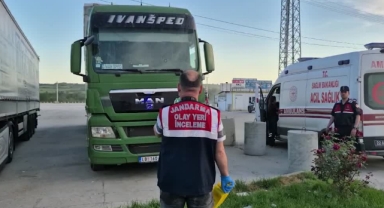 Tır Sürücüsü Aracında Ölü Bulundu