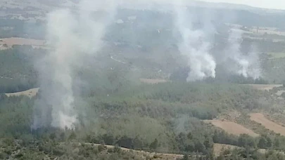 Adana'da Orman Yangını