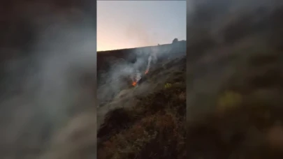 Bingöl'de Orman Yangını
