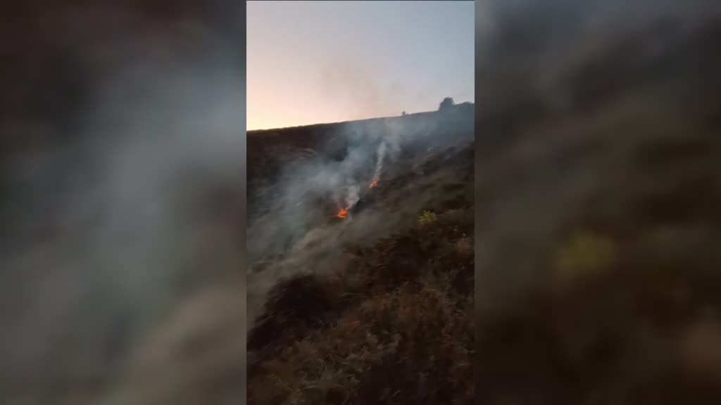 Bingöl'de Orman Yangını