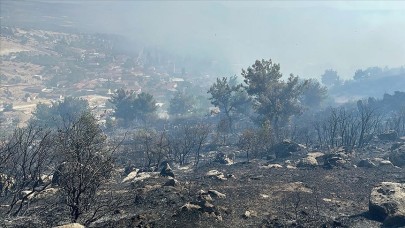 Rüzgarın Etkisiyle Yayılan Yangın Kontrol Altına Alındı
