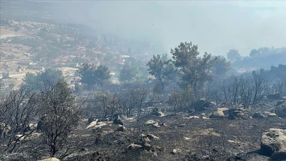 Rüzgarın Etkisiyle Yayılan Yangın Kontrol Altına Alındı