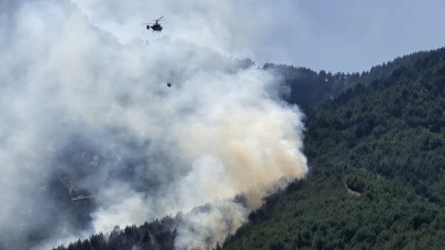 Ormanlık Alanda Yangın
