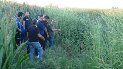 Sazlıklar Arasında Şüpheli Ölüm:Erkek Cesedi Bulundu