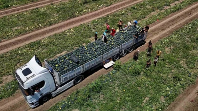 Karpuzda Fiyatlar Dibe Çakıldı:''Fiyatı 2,5 TL, Nakliyesi 3,5 TL"