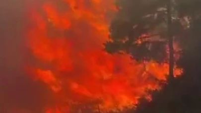 Adana Kozan'da Orman Yangını