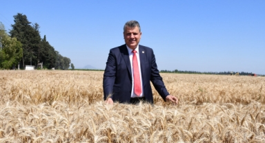 Barut'tan Buğday Alım Fiyatına Tepki:''Bu Karar Çiftçinin Sonudur"