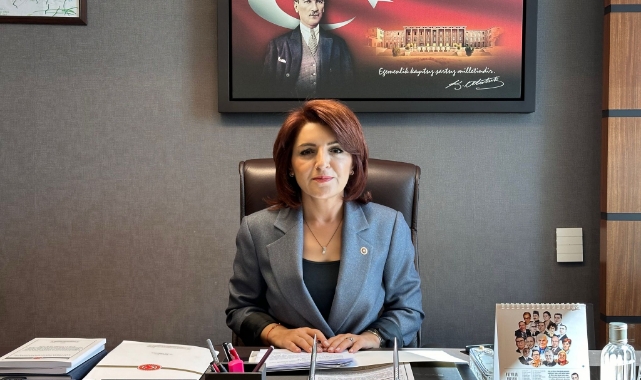 CHP’li Gülcan Kış, Tekstil Krizini Meclis Gündemine Taşıdı