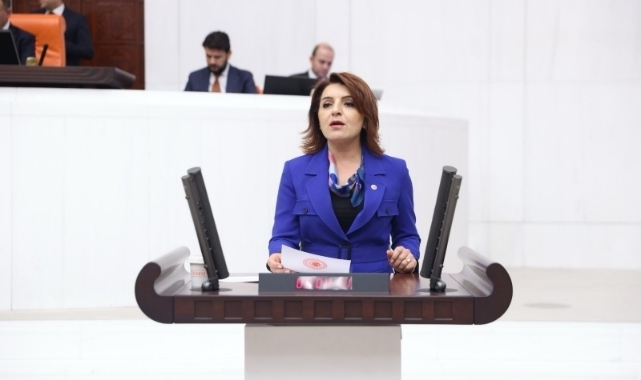 CHP’li Kış:''Bu Düzende Kazanan Bir Avuç Banka,Kaybeden Milyonlarca Emekçi”