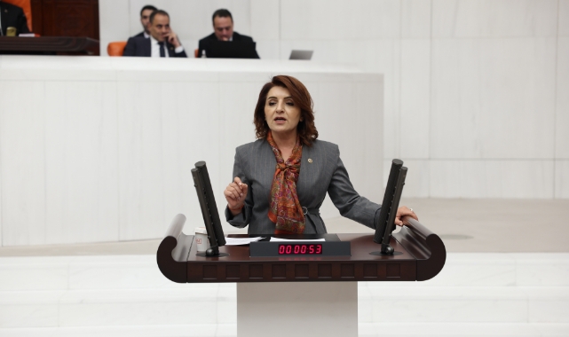 CHP’li Kış:''Vatandaş Pazar Çantası Değil, Sabır Taşı Taşıyor!''
