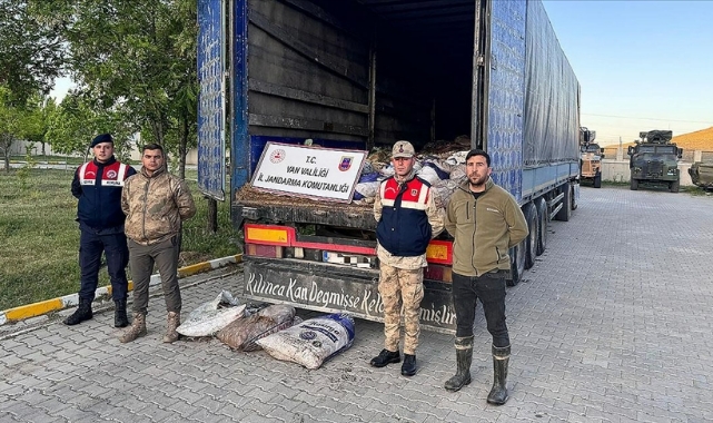 Kaçak Avlanmış 19 Ton 200 Kilogram İnci Kefali Ele Geçirildi