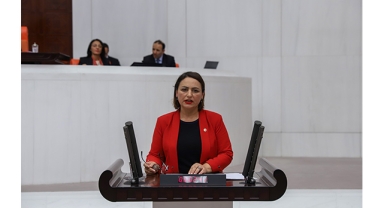 Şevkin'den Kadın Cinayetleri Vurgusu:''5 Ayda 171 Kadın Öldürüldü''