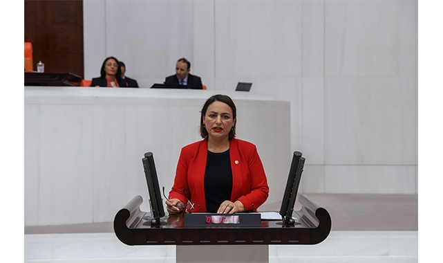 Şevkin'den Kadın Cinayetleri Vurgusu:''5 Ayda 171 Kadın Öldürüldü''