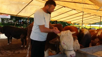 İkinci Bir Emre Kadar Hayvan Pazarları Kapatıldı