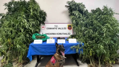 Jandarma Operasyonlarında  105 Gözaltı