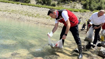 Karacaören Göleti'ne 10 Bin Pullu Sazan Yavrusu Bırakıldı