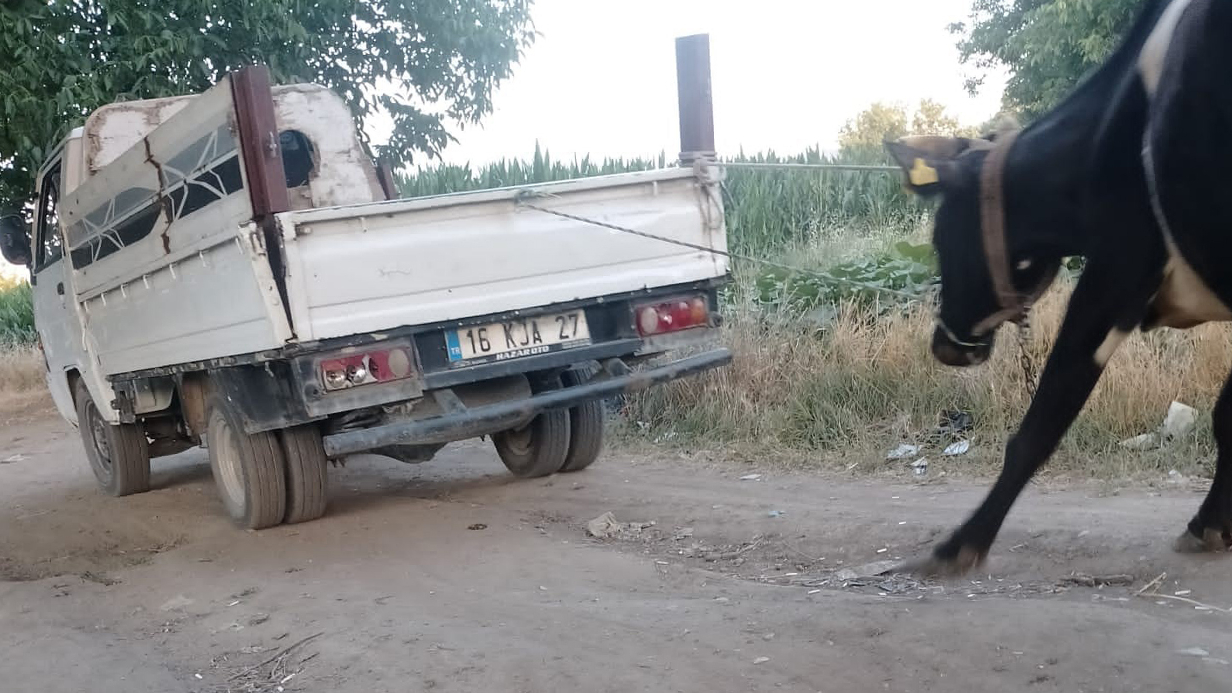 Vicdatsızlık Pes Dedirtti