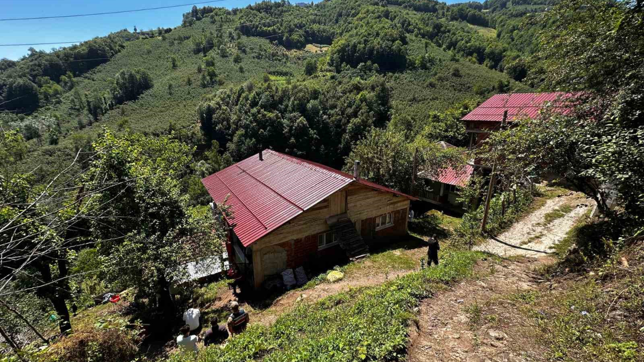 Ordu'ya Şehit Ateşi Düştü