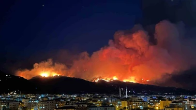 Orman Yangınına Bir Tutuklama