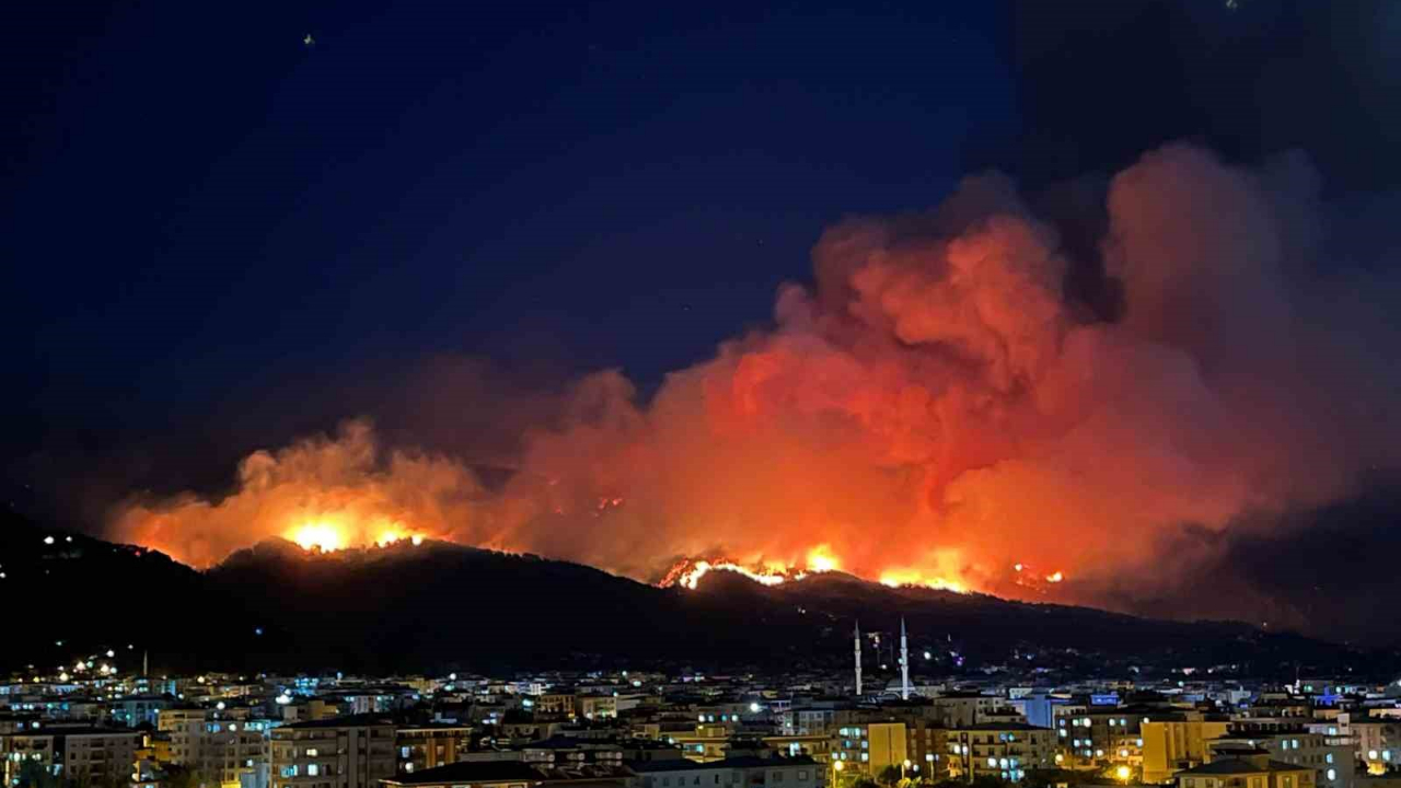 Orman Yangınına Bir Tutuklama