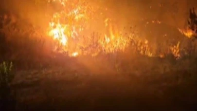 Hatay'da Orman Yangını Kontrol Altına Alındı