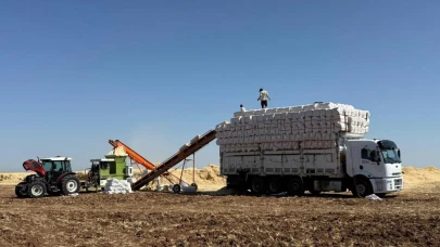 45 derece Sıcaklıkta Saman Yüklüyorlar