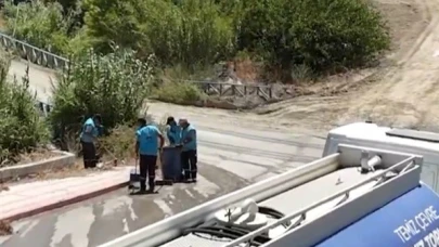 Antakya’da Yangından Etkilenen Bölgelerde Hummalı Temizlik Çalışması