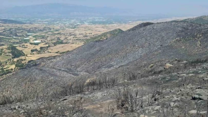 Yangından Geriye Küle Dönen Evler ve Tarlalar Kaldı
