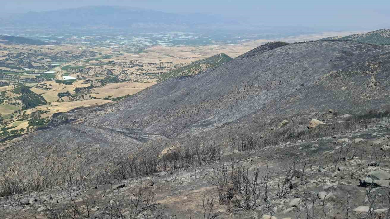 Yangından Geriye Küle Dönen Evler ve Tarlalar Kaldı