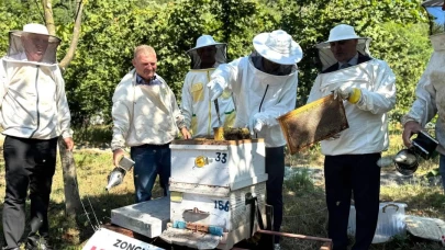 Çaycuma’da  Kestane Balı Hasadı Başladı