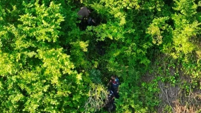 Artvin’de Kaçak Göçmenler Ormanlık Alanda Yakalandı