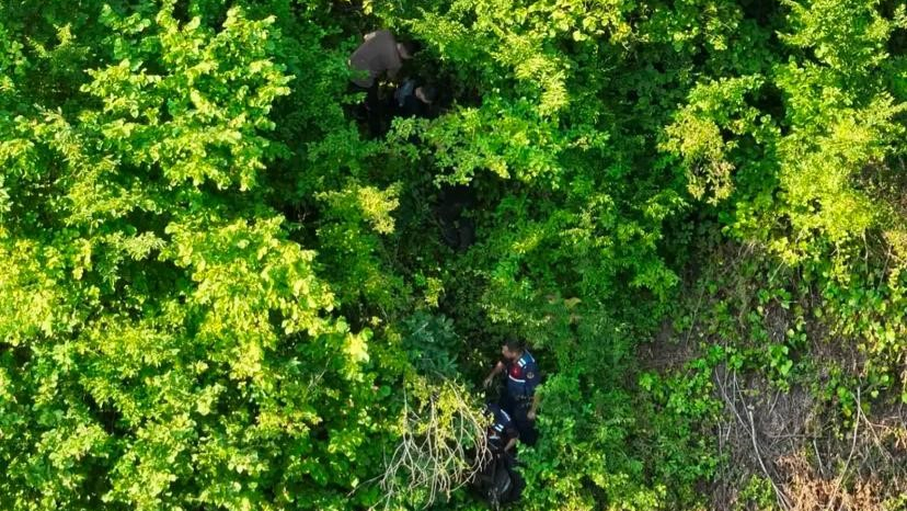 Artvin’de Kaçak Göçmenler Ormanlık Alanda Yakalandı