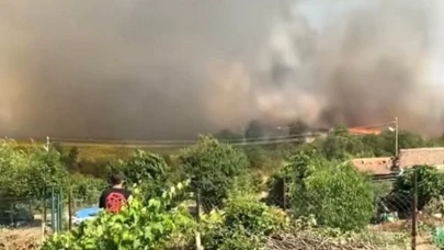 Buğday Tarlası Kül Oldu