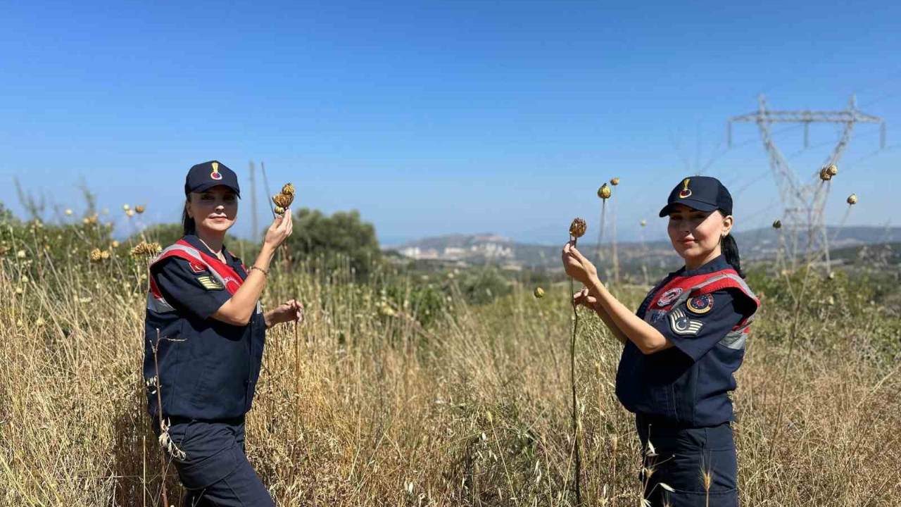 ’Tülüşah’ Bitikisine Zarar Veren 557 Bin Cira Ceza Ödeyecek