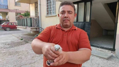 Yavru Doğan Kuşu Koruma Altına Alındı